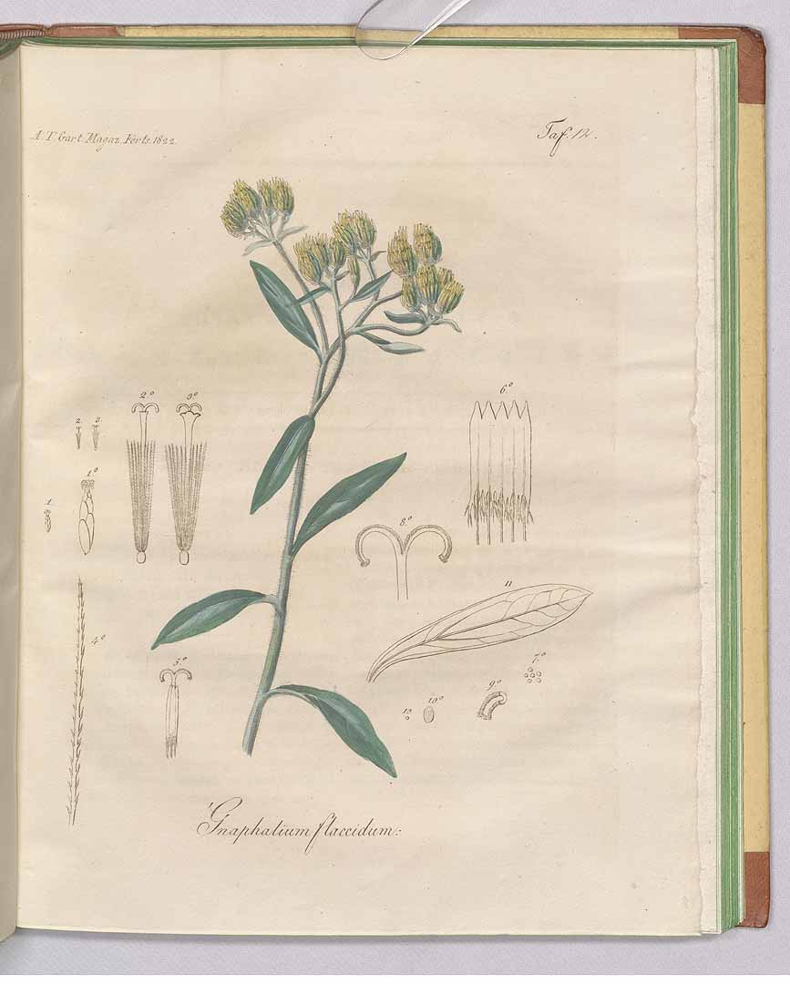 no HD illustration available (3)