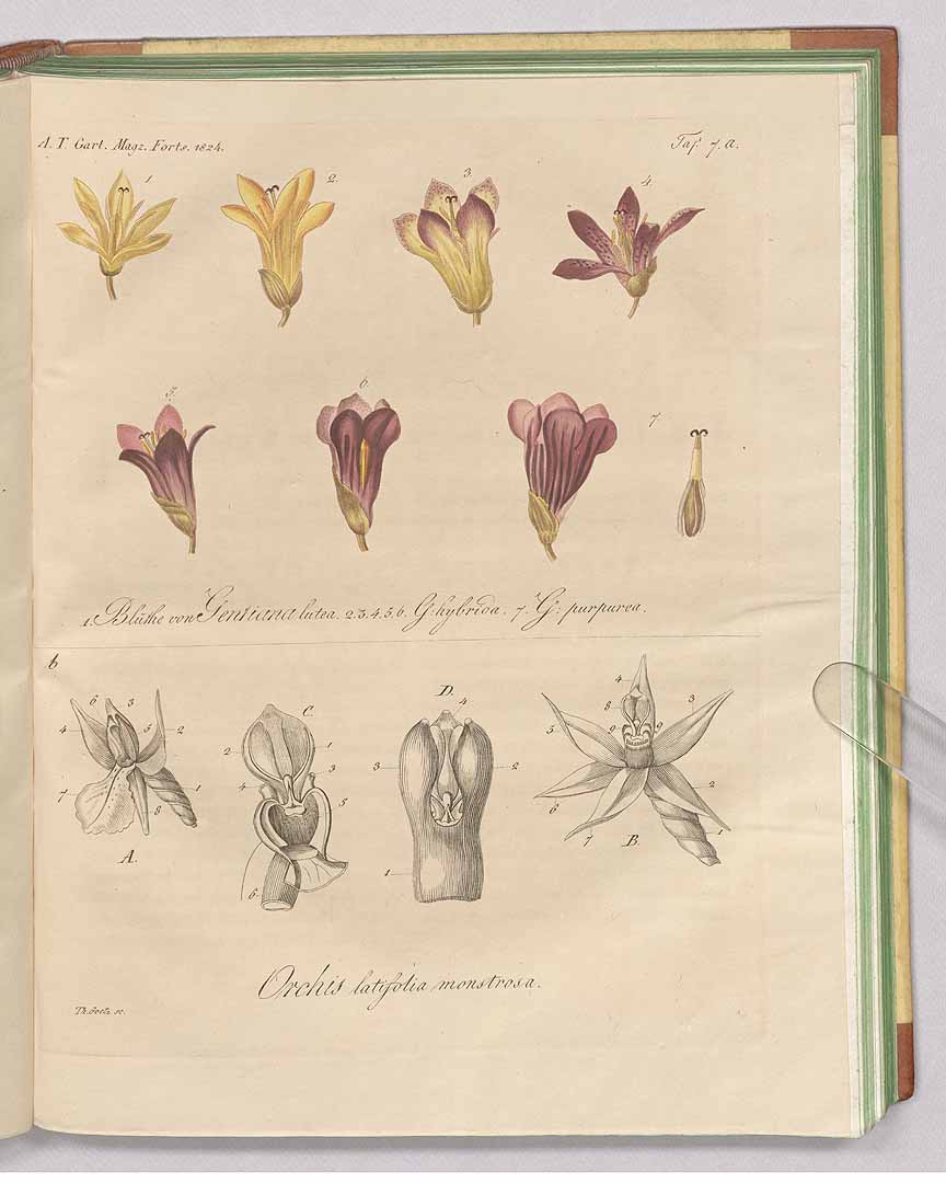 no HD illustration available (3)