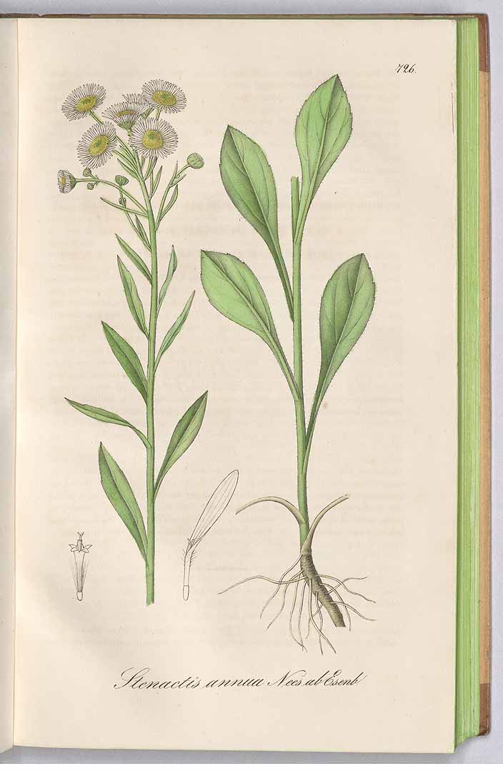 no HD illustration available (3)