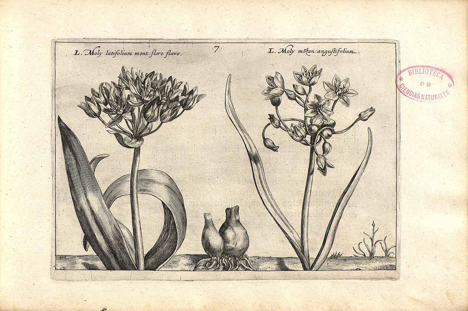 no HD illustration available (3)