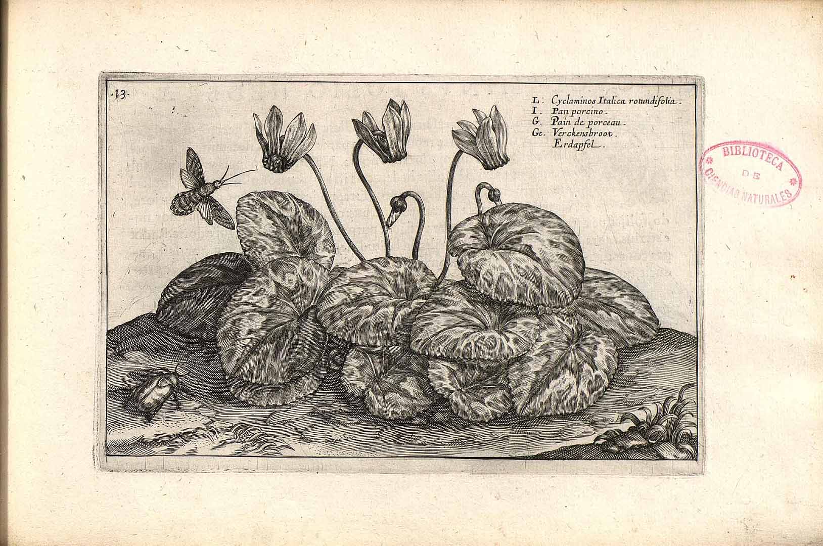 no HD illustration available (3)