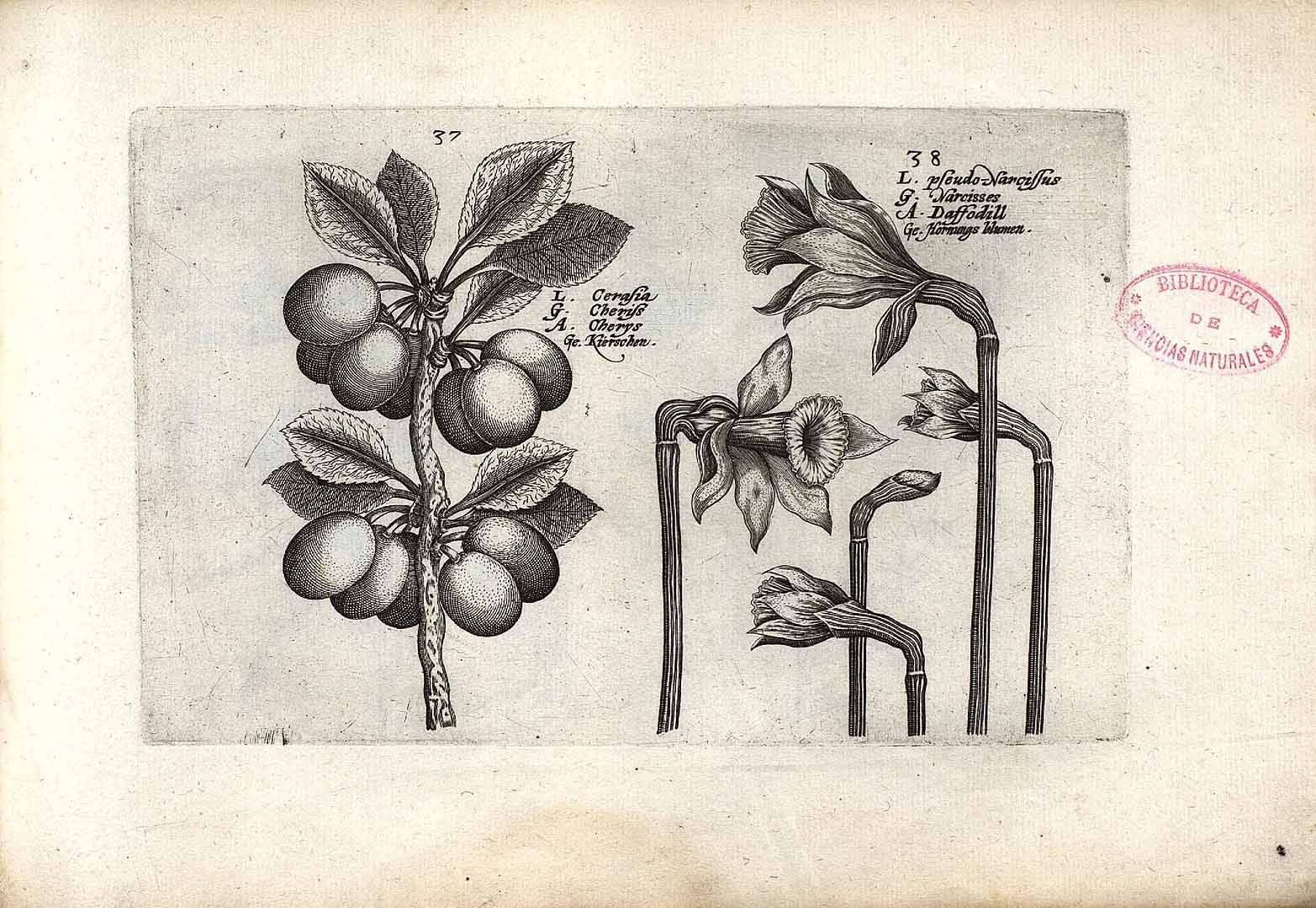 no HD illustration available (3)