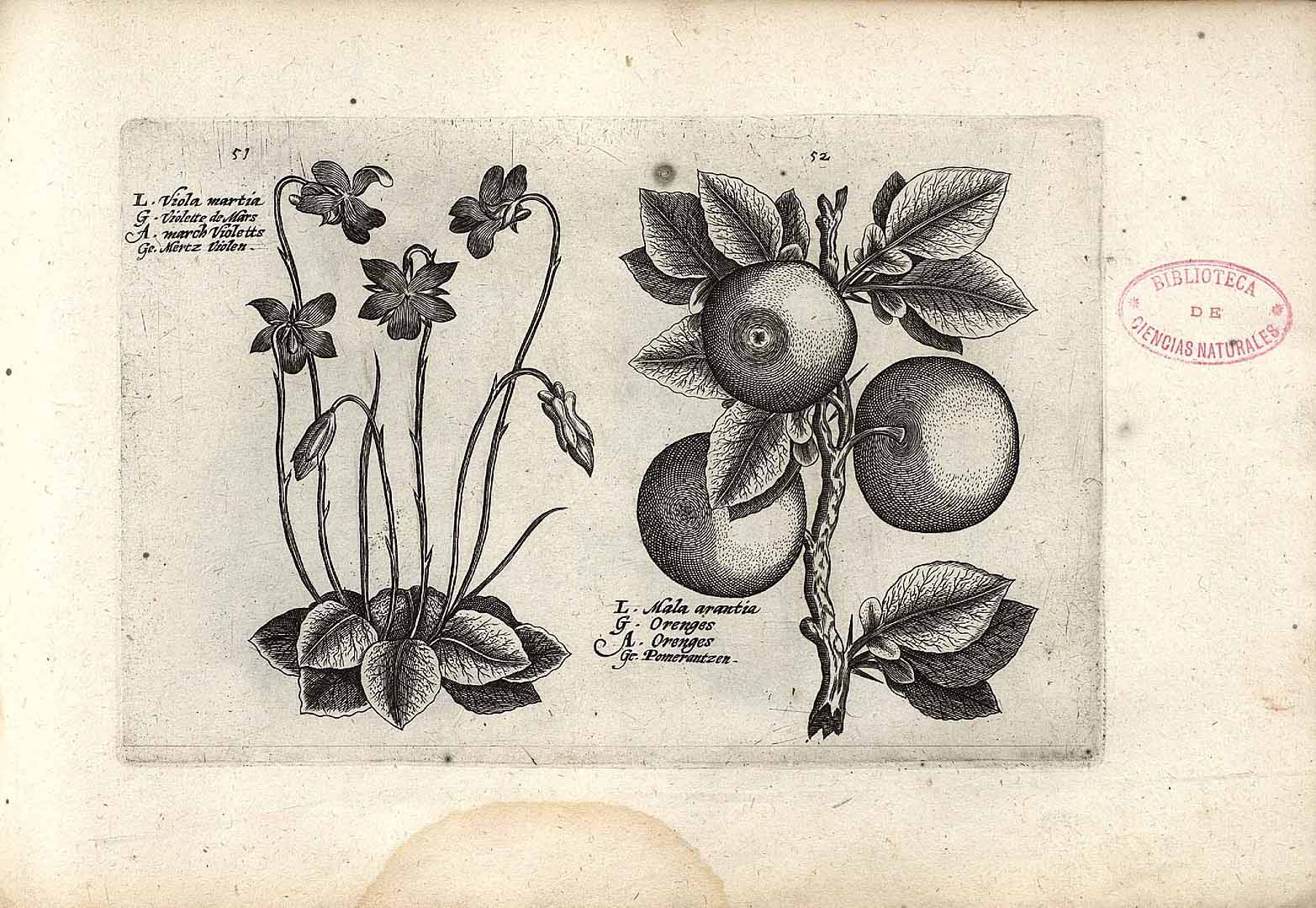 no HD illustration available (3)