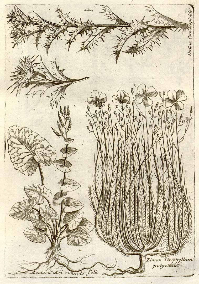 no HD illustration available (3)