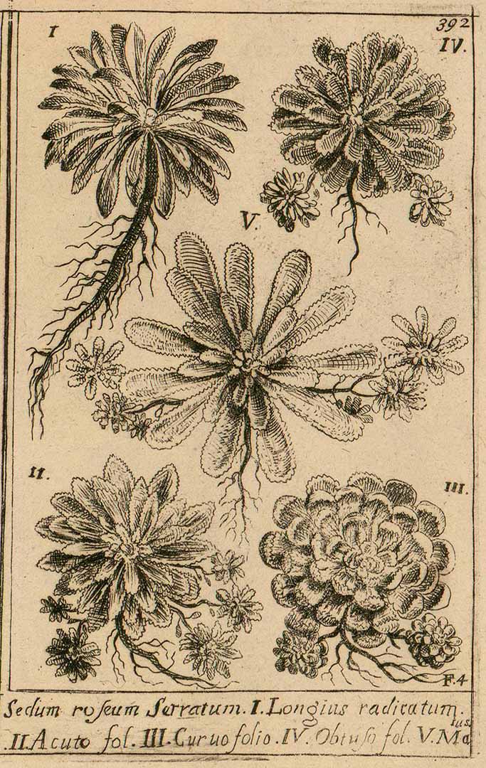 no HD illustration available (3)