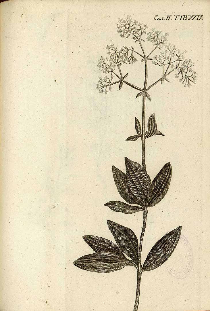 no HD illustration available (3)