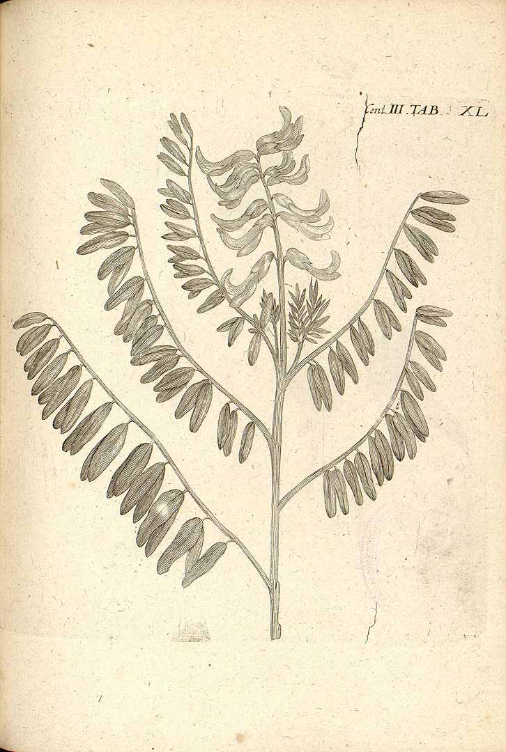 no HD illustration available (3)