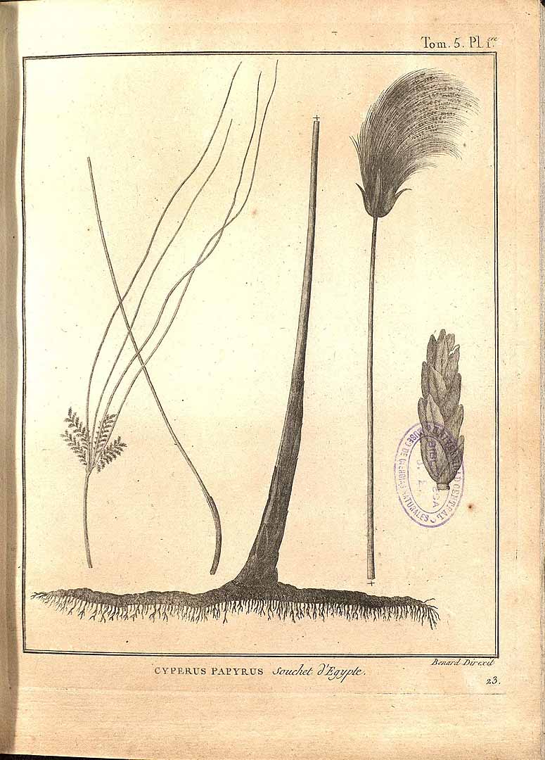 no HD illustration available (3)