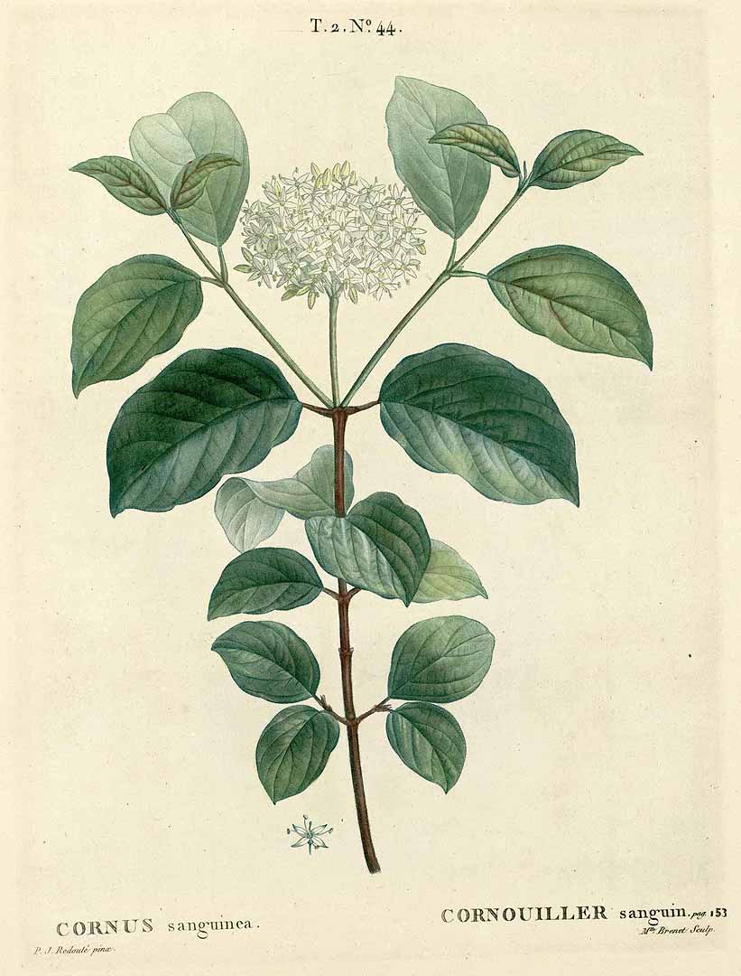 no HD illustration available (3)