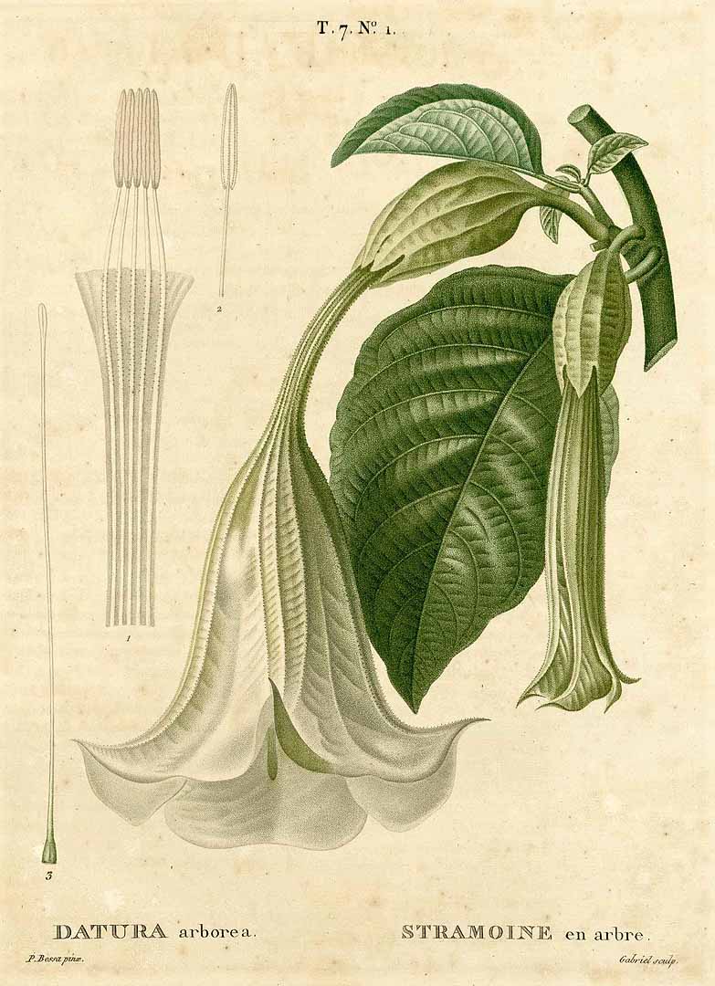 no HD illustration available (3)