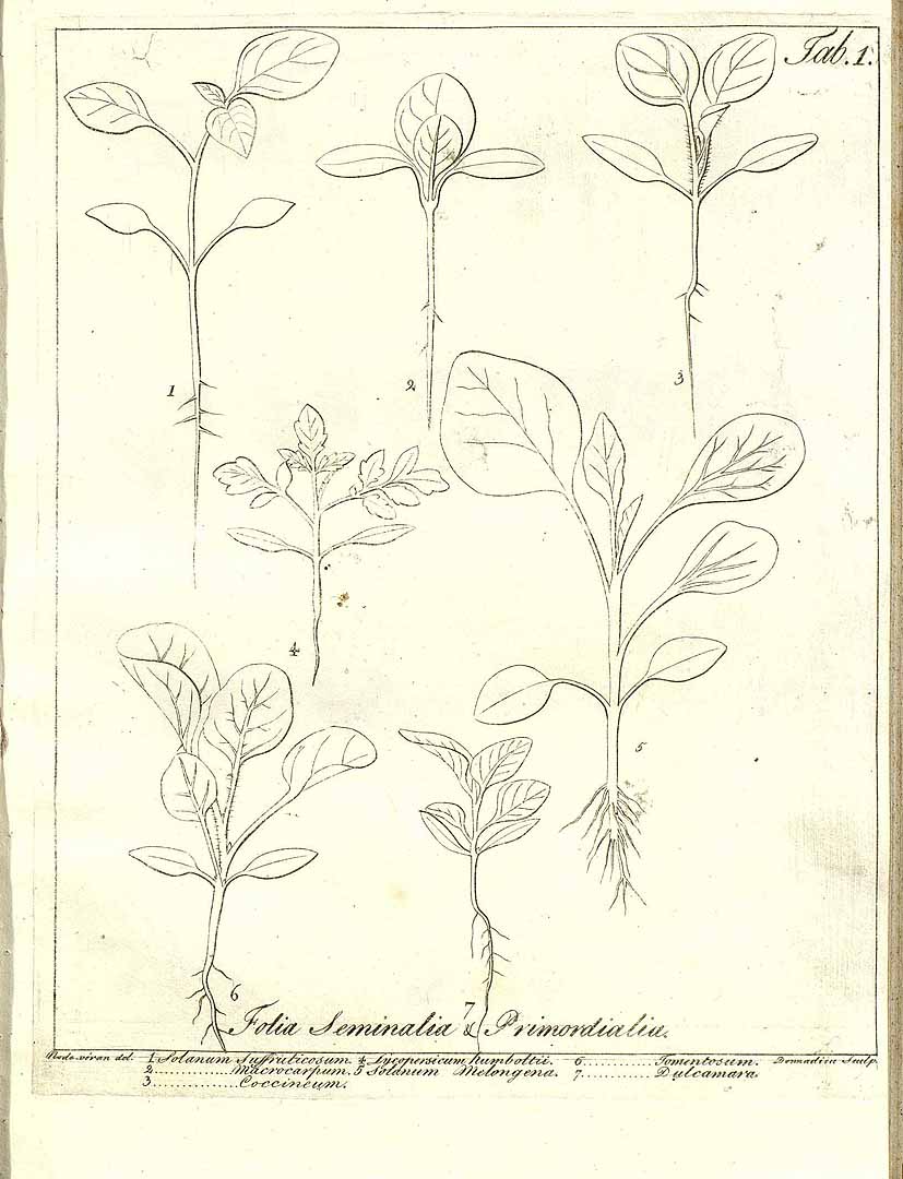 no HD illustration available (3)