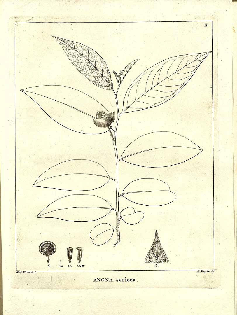 no HD illustration available (3)