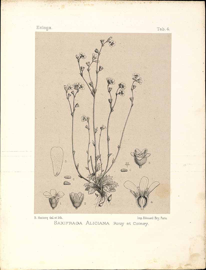 no HD illustration available (3)