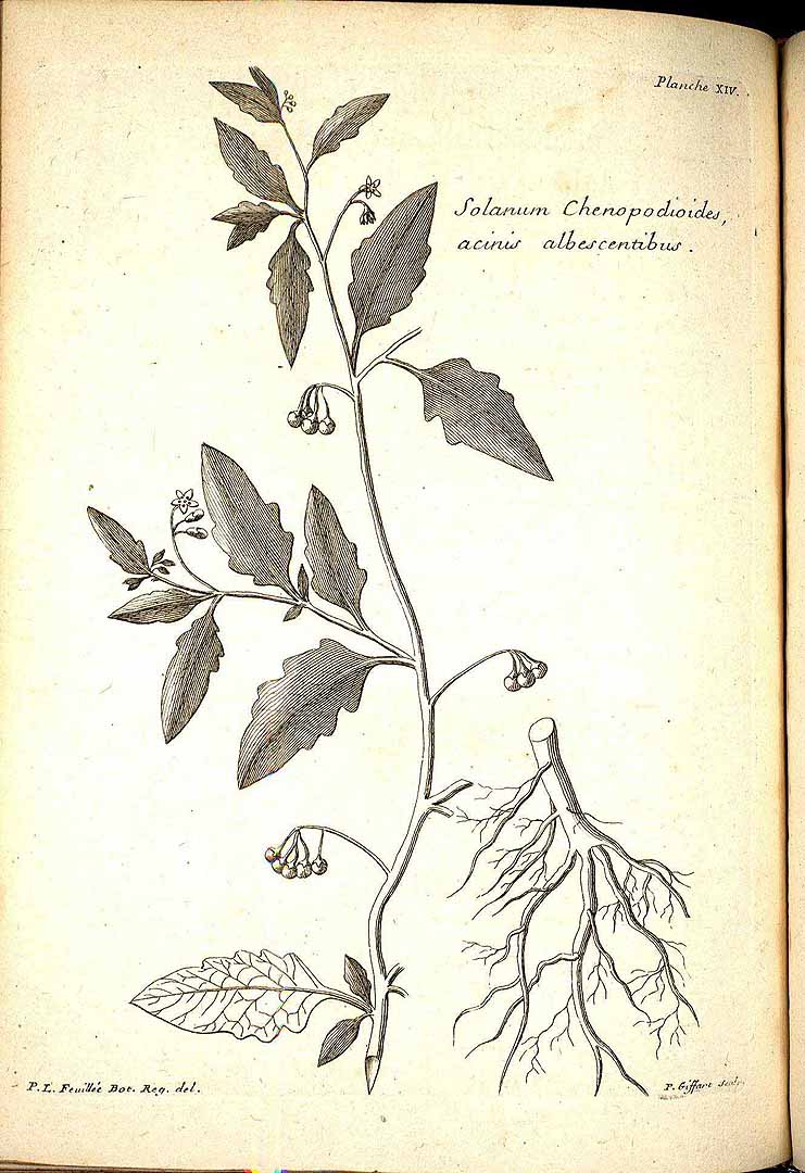 no HD illustration available (3)