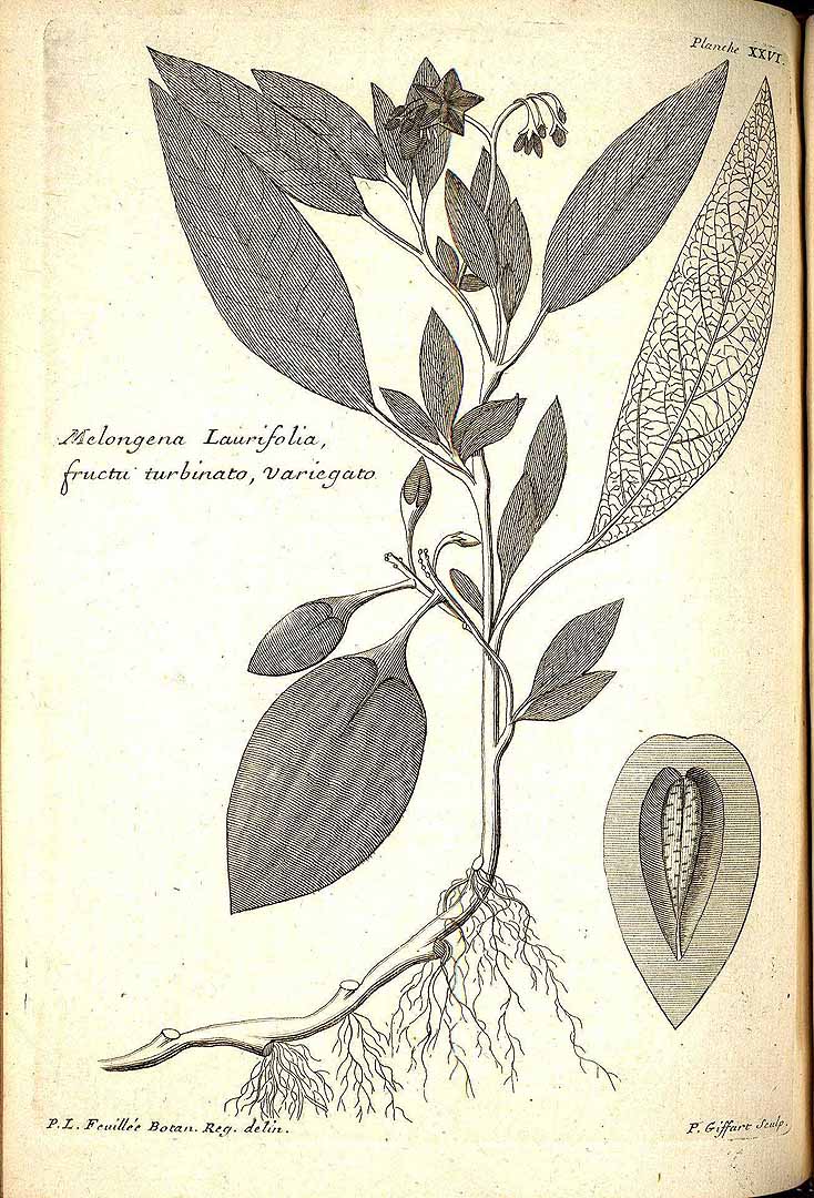 no HD illustration available (3)