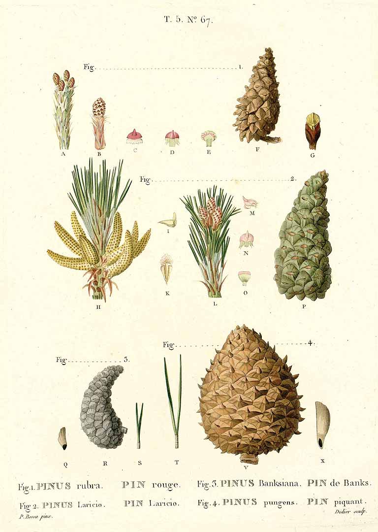 no HD illustration available (3)