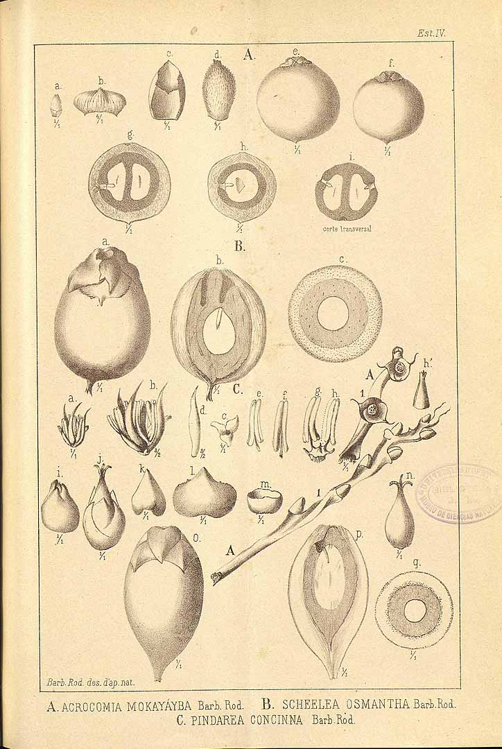 no HD illustration available (3)