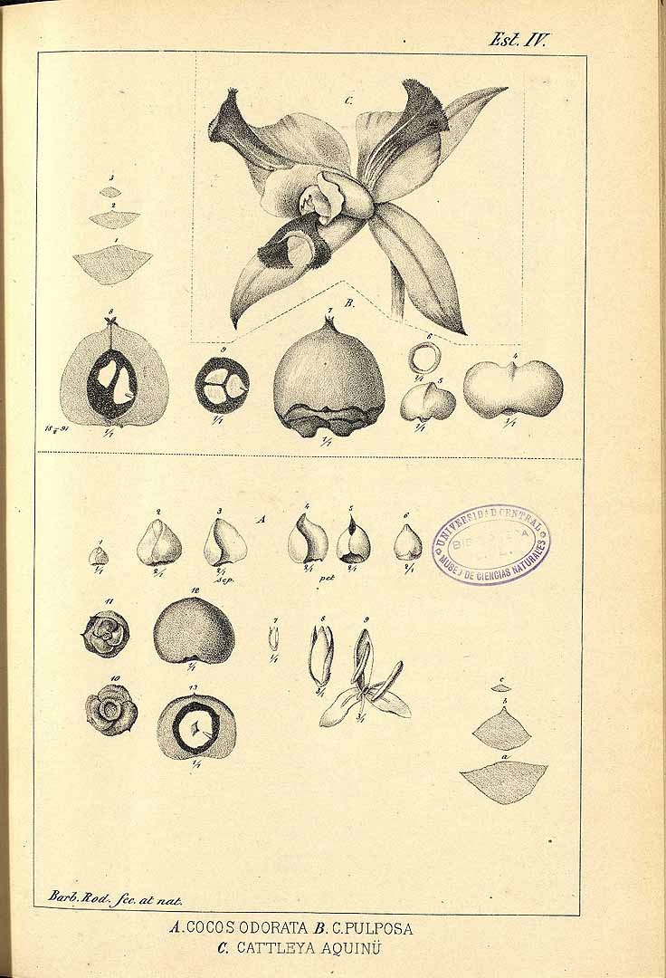 no HD illustration available (3)