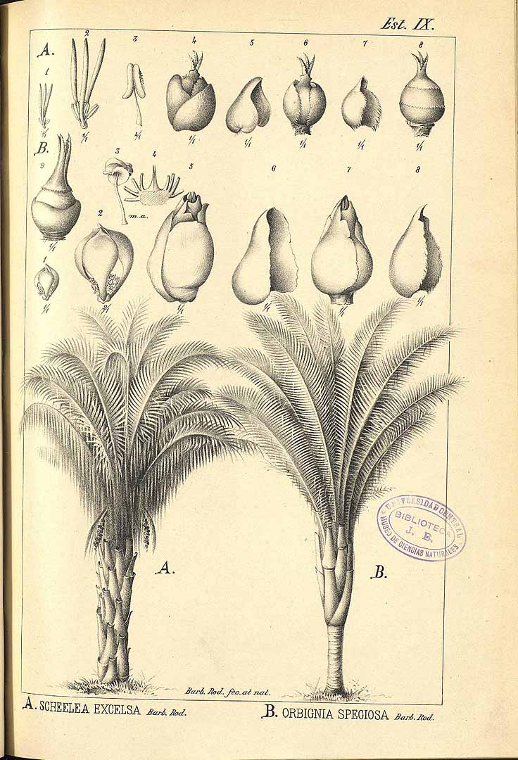 no HD illustration available (3)