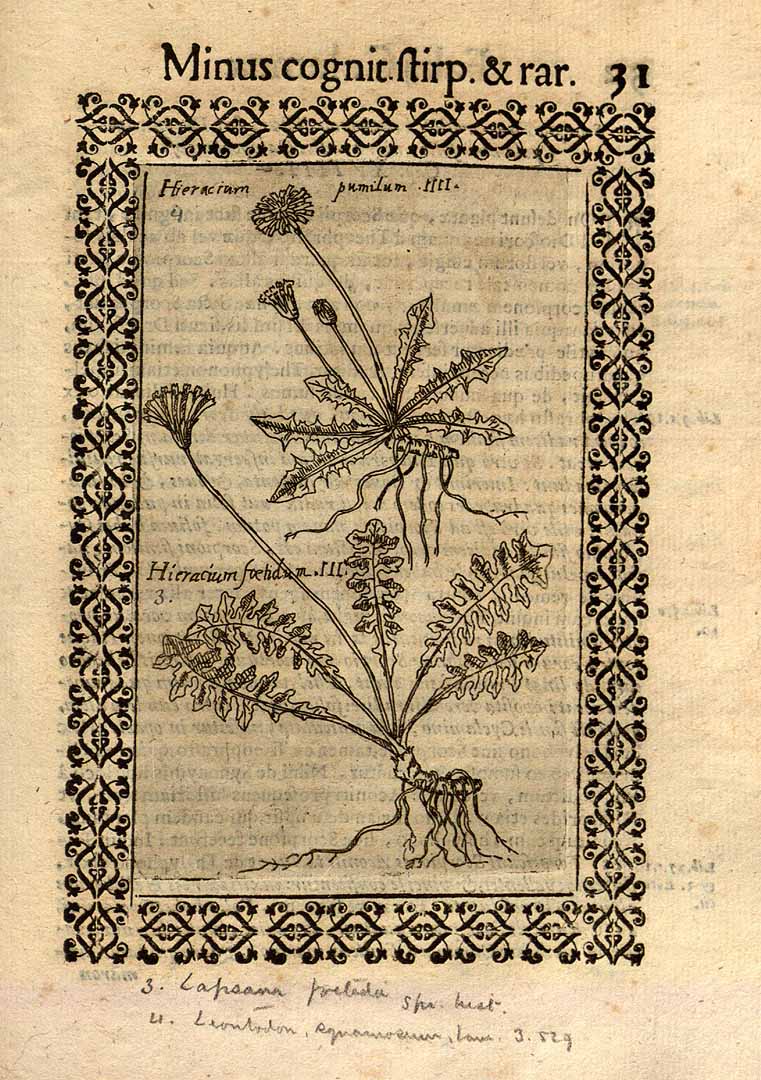 no HD illustration available (3)