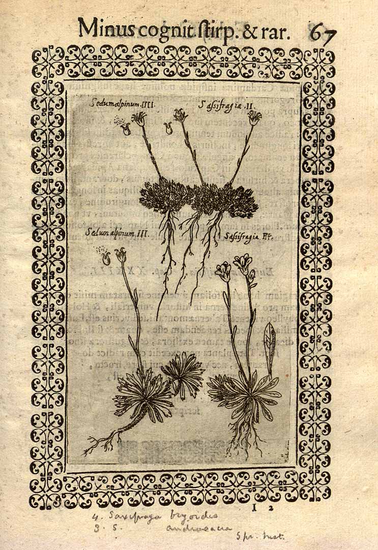 no HD illustration available (3)