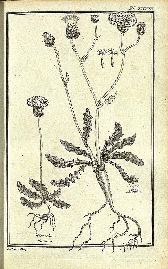 no HD illustration available (3)