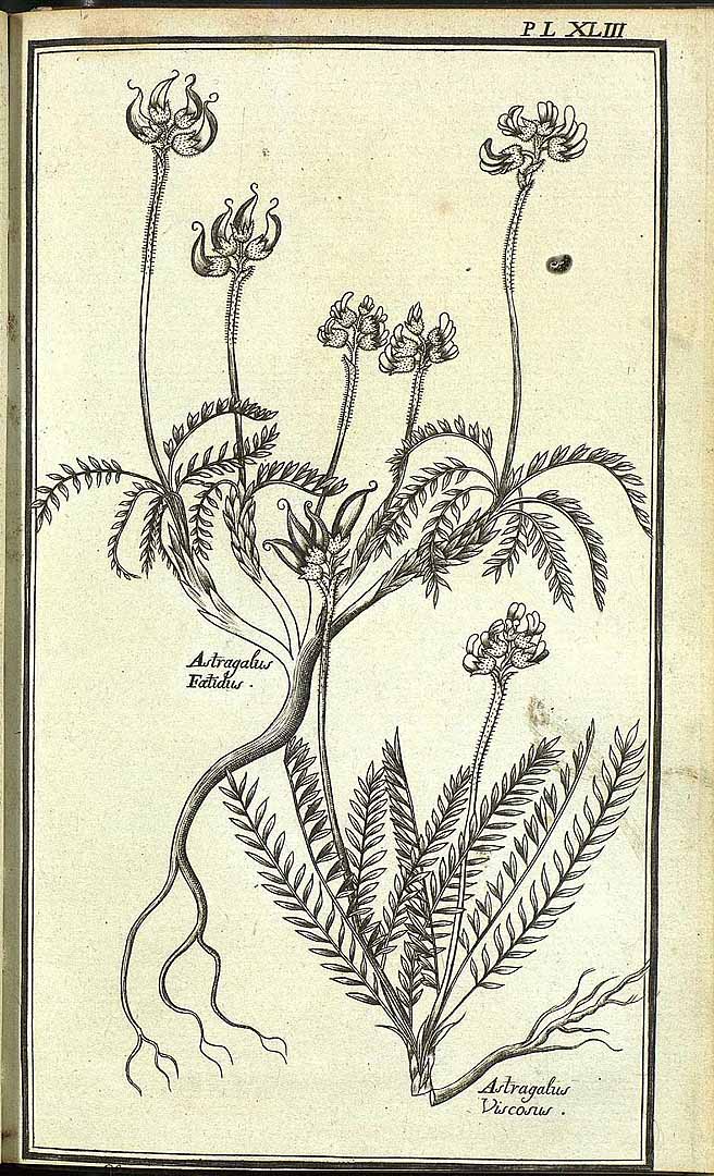 no HD illustration available (3)