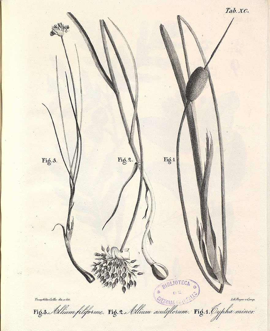 no HD illustration available (3)