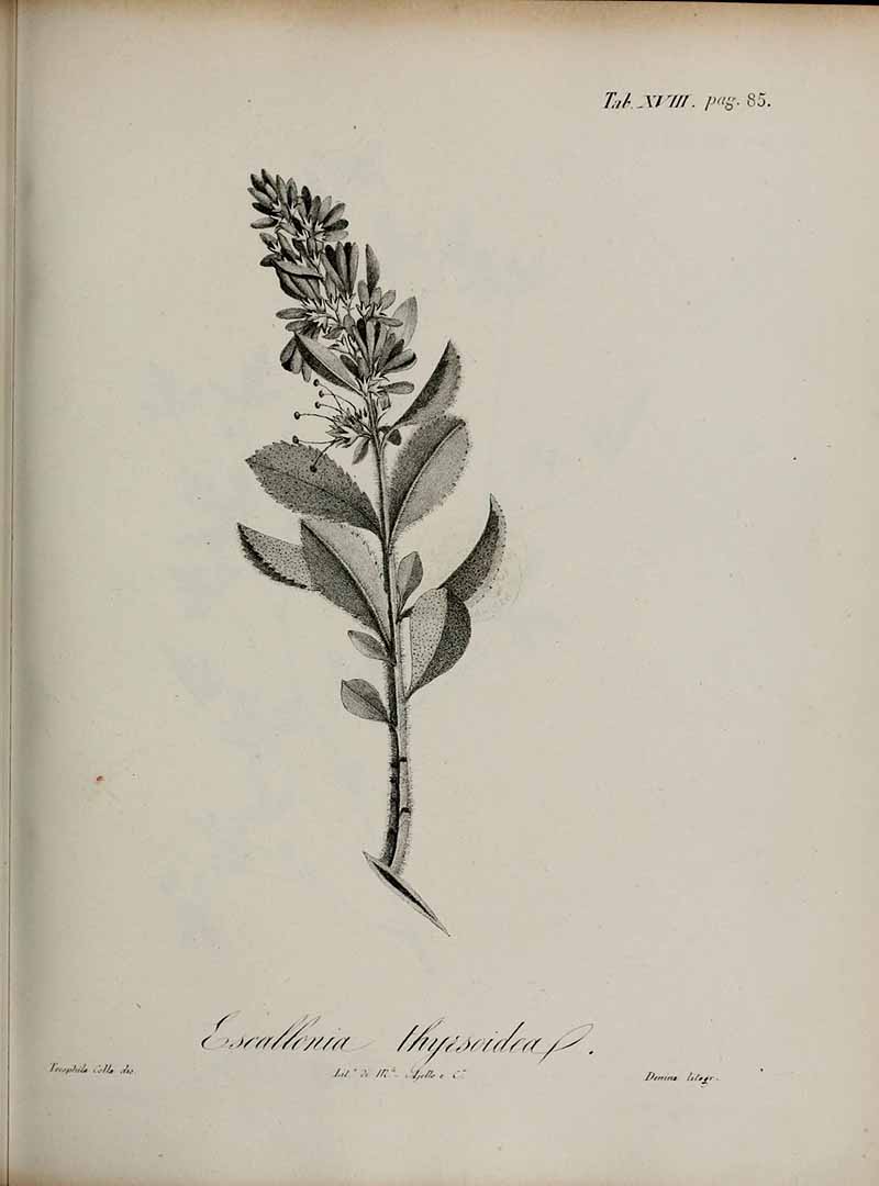 no HD illustration available (3)