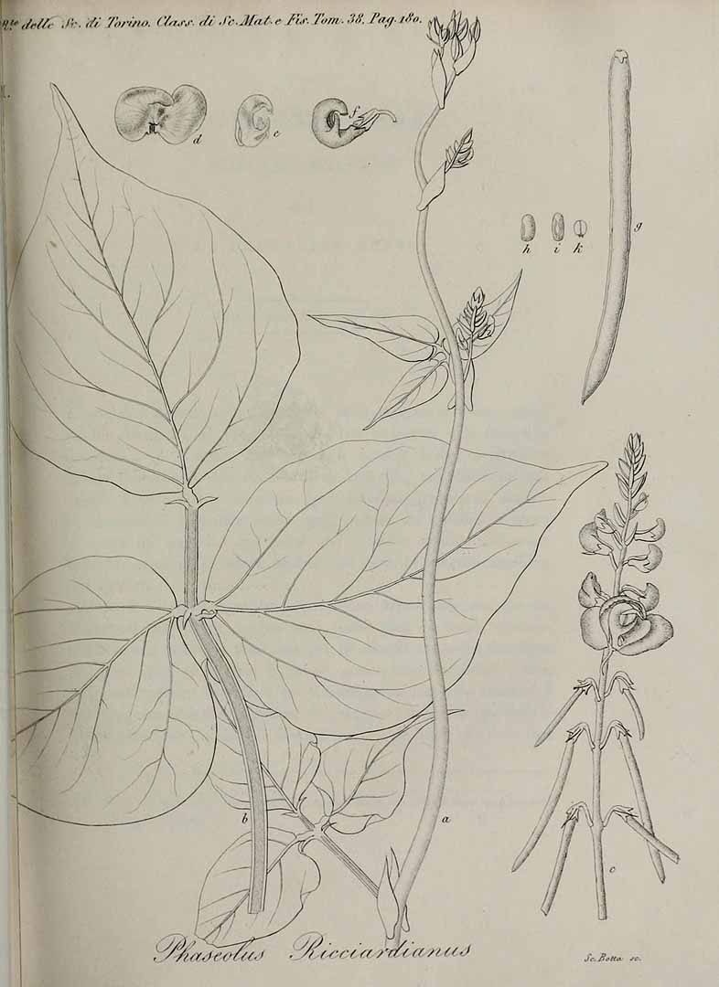 no HD illustration available (3)