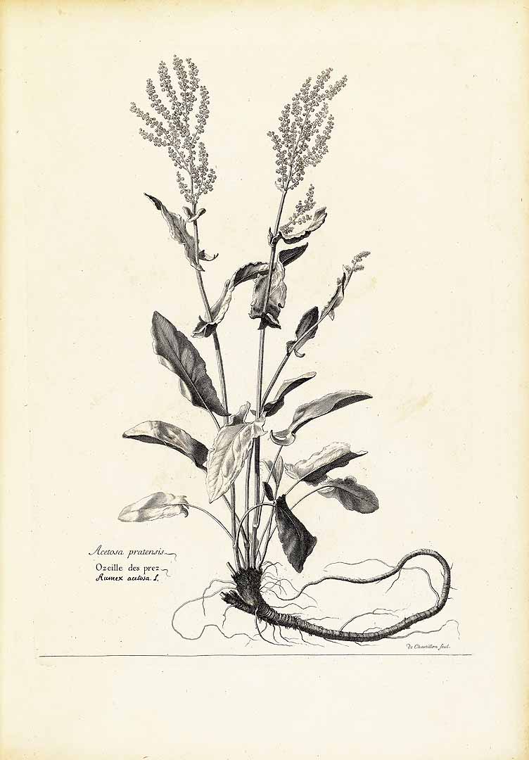 no HD illustration available (3)