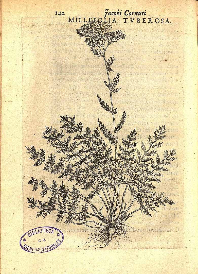 no HD illustration available (3)