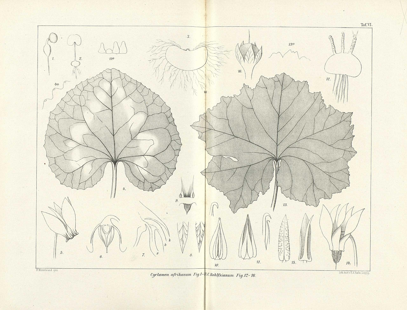 no HD illustration available (3)