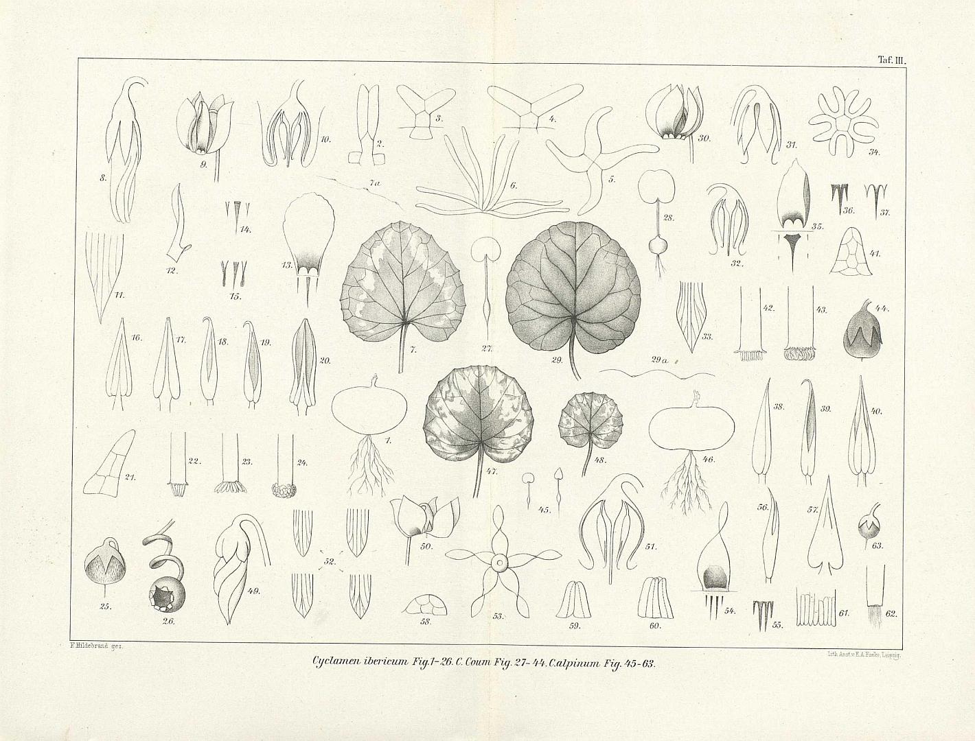 no HD illustration available (3)