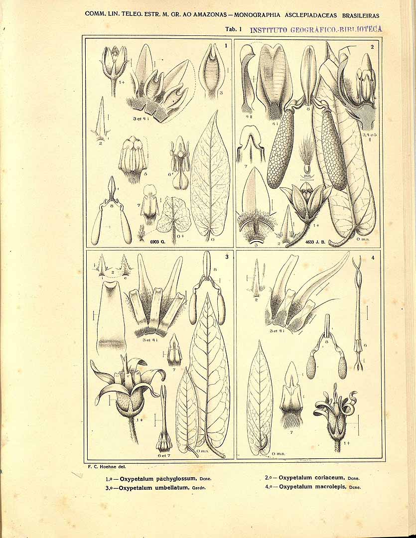 no HD illustration available (3)