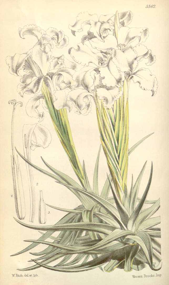 no HD illustration available (3)