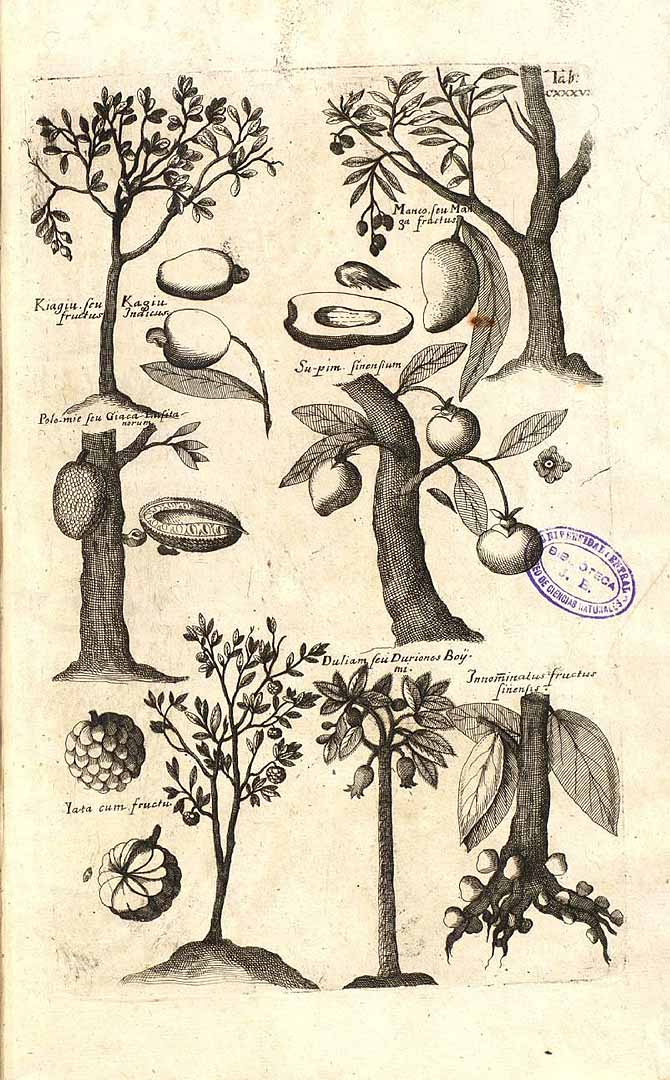 no HD illustration available (3)