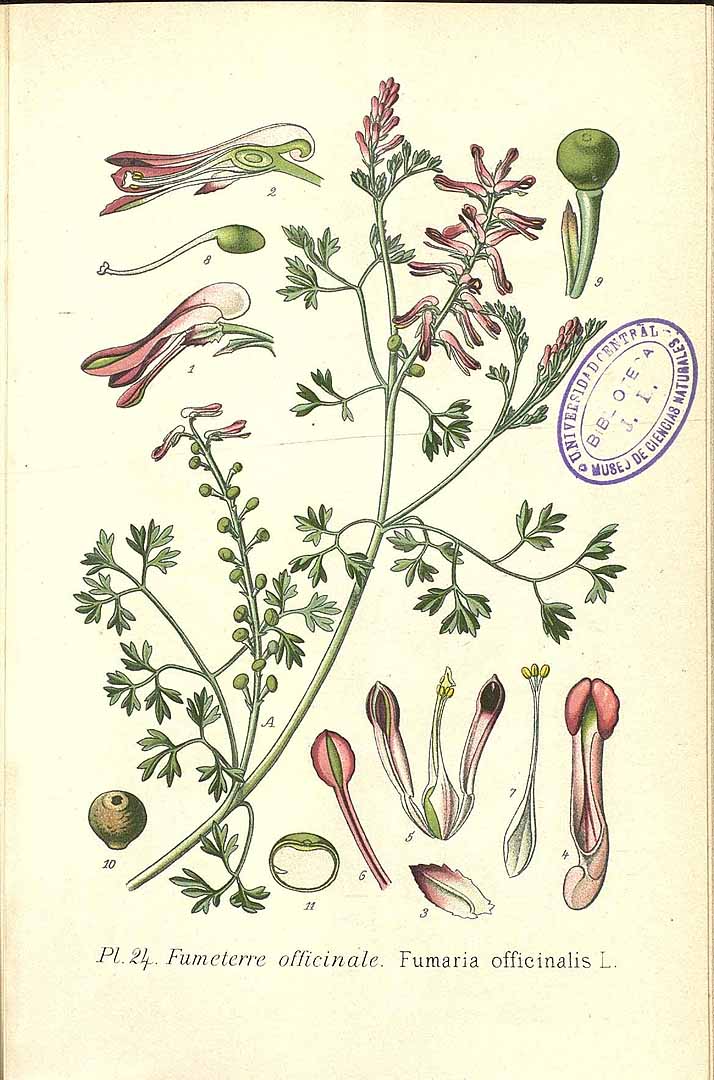 no HD illustration available (3)