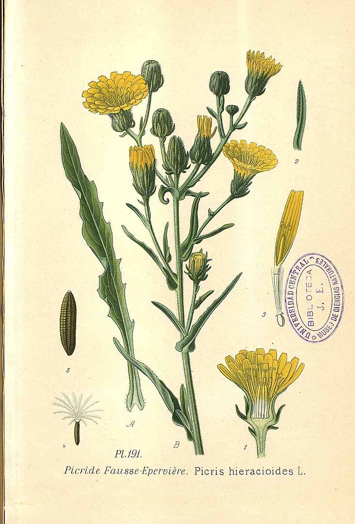 no HD illustration available (3)