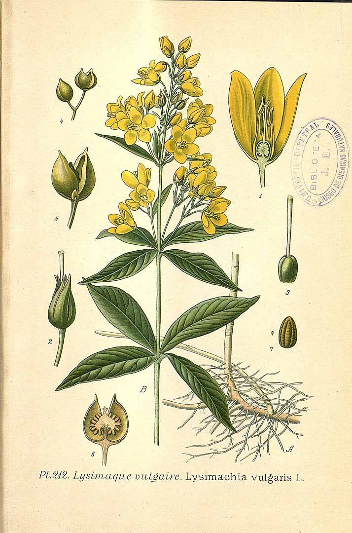 no HD illustration available (3)