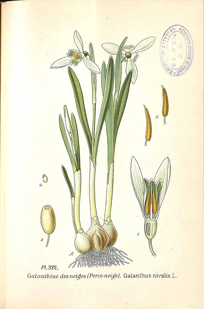 no HD illustration available (3)