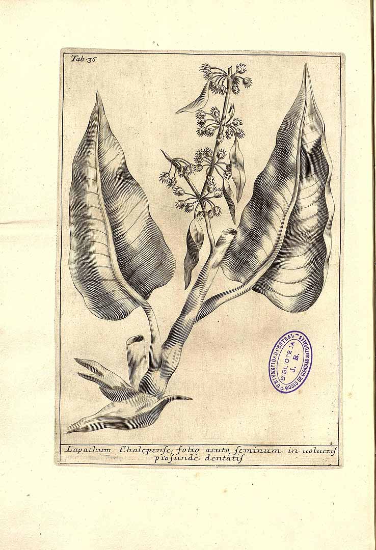 no HD illustration available (3)