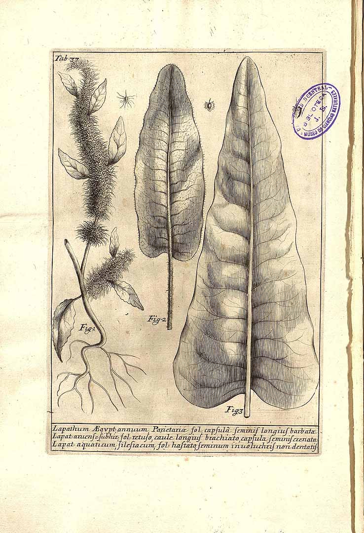 no HD illustration available (3)