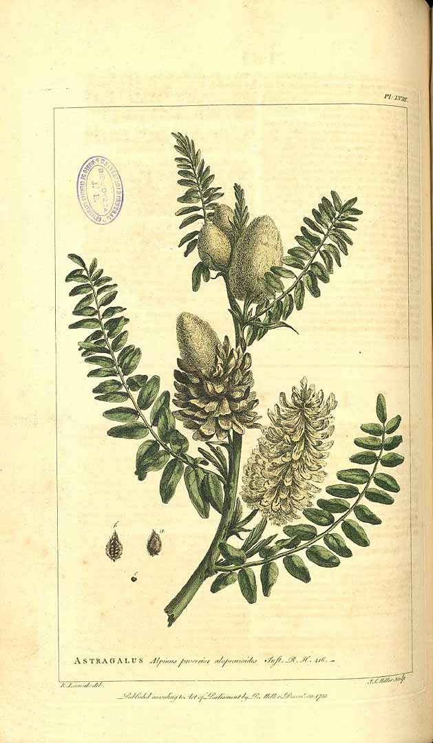 no HD illustration available (3)