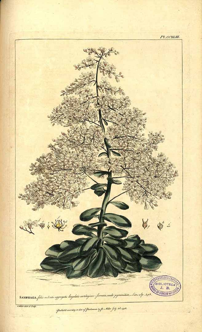 no HD illustration available (3)