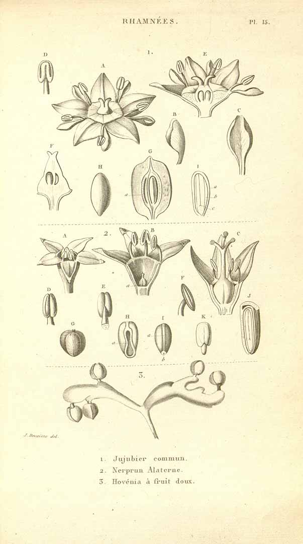 no HD illustration available (3)