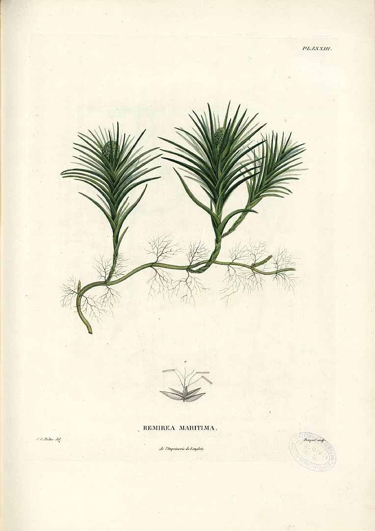 no HD illustration available (3)