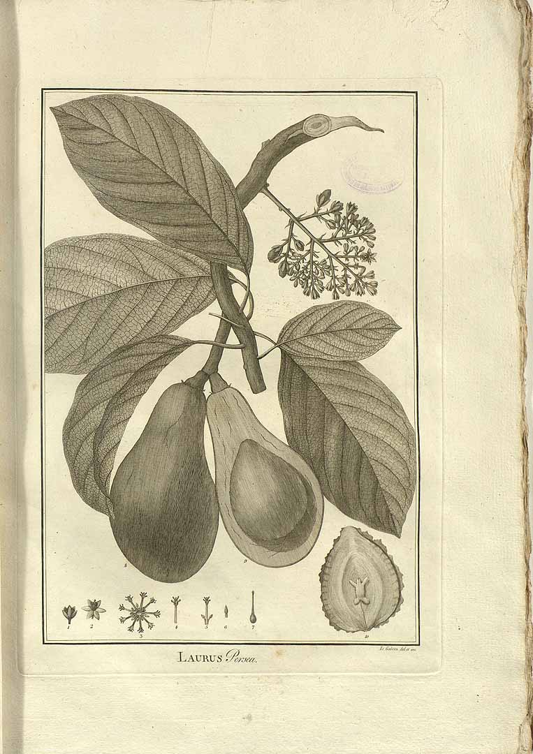 no HD illustration available (3)