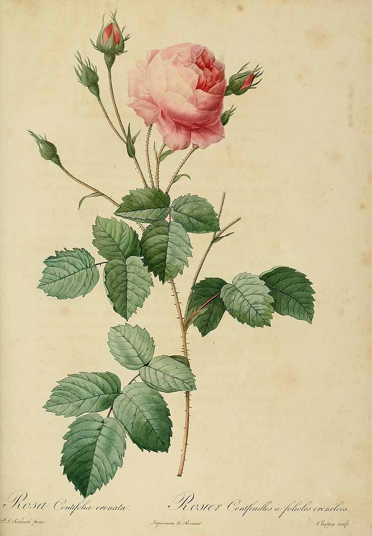 no HD illustration available (3)