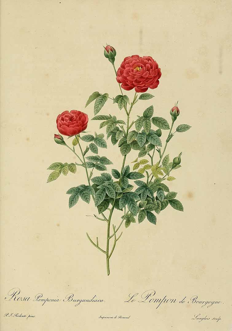 no HD illustration available (3)